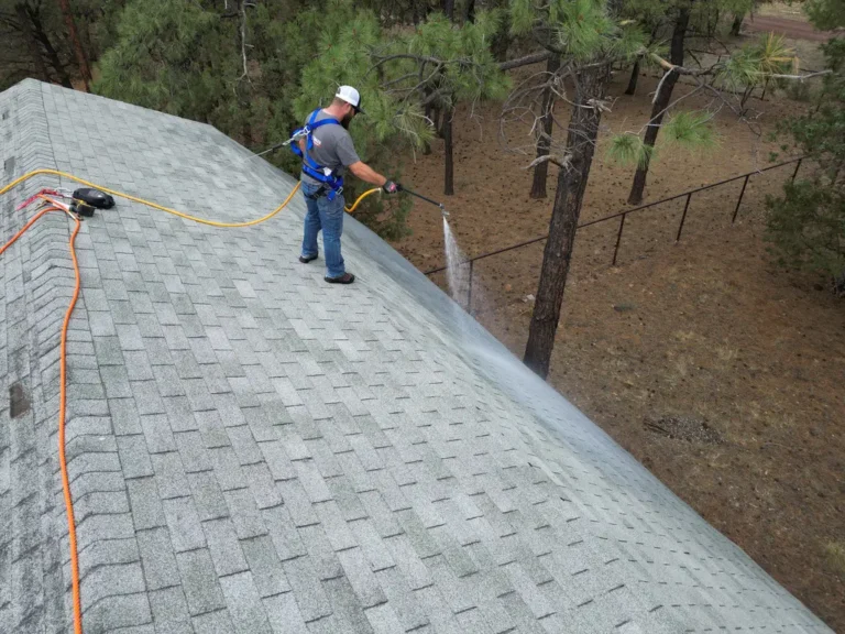 Applying Roof Maxx Rejuvenation Spray to Roof